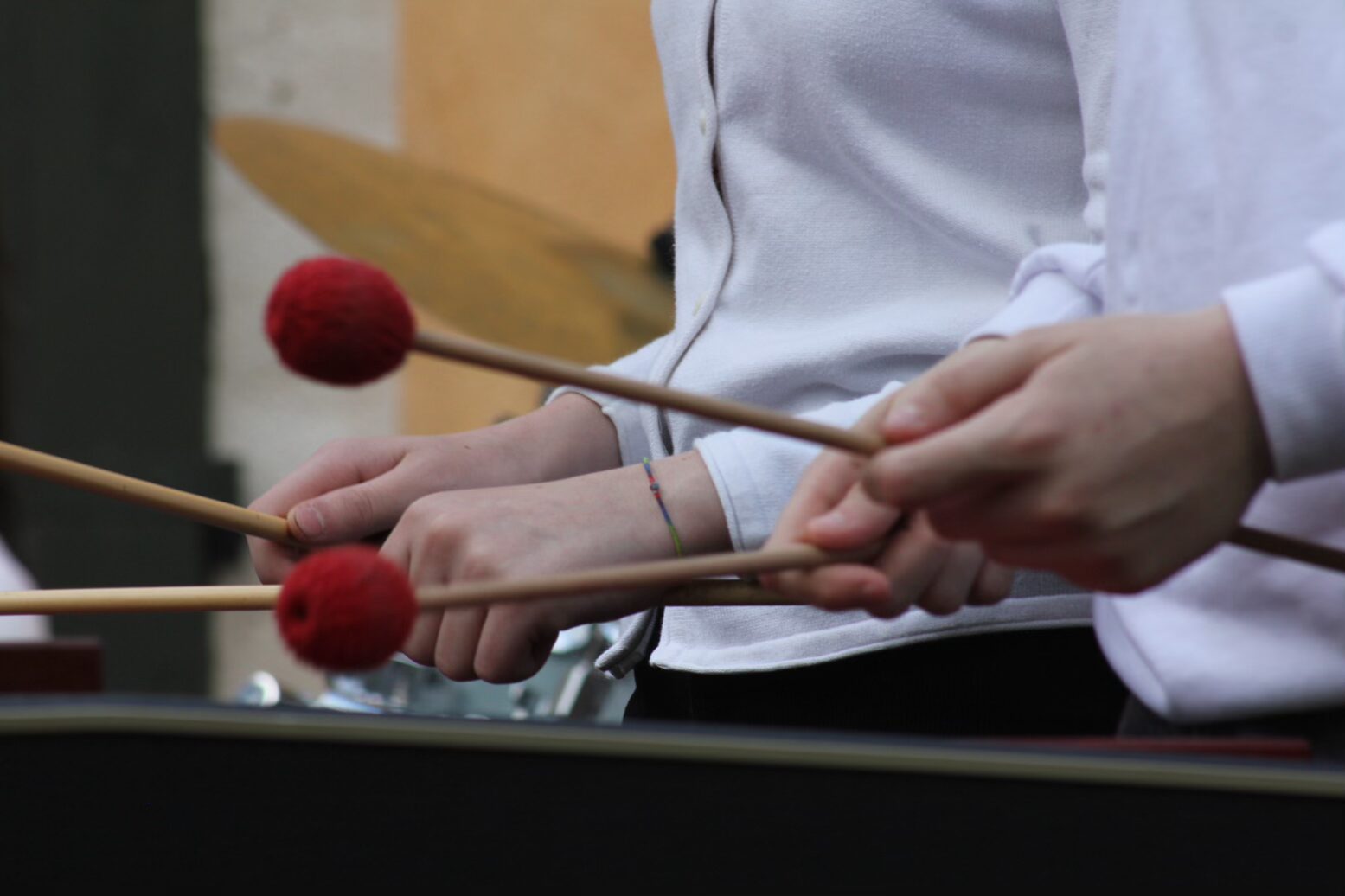 Percussionisti