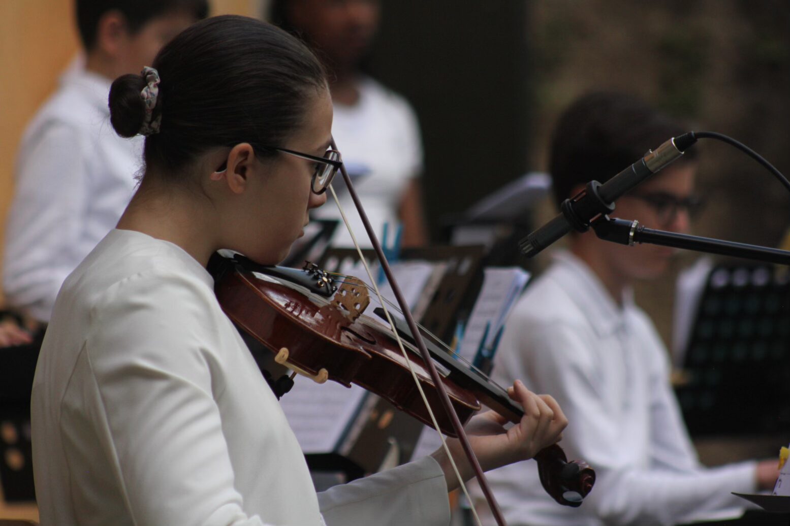 Violinista