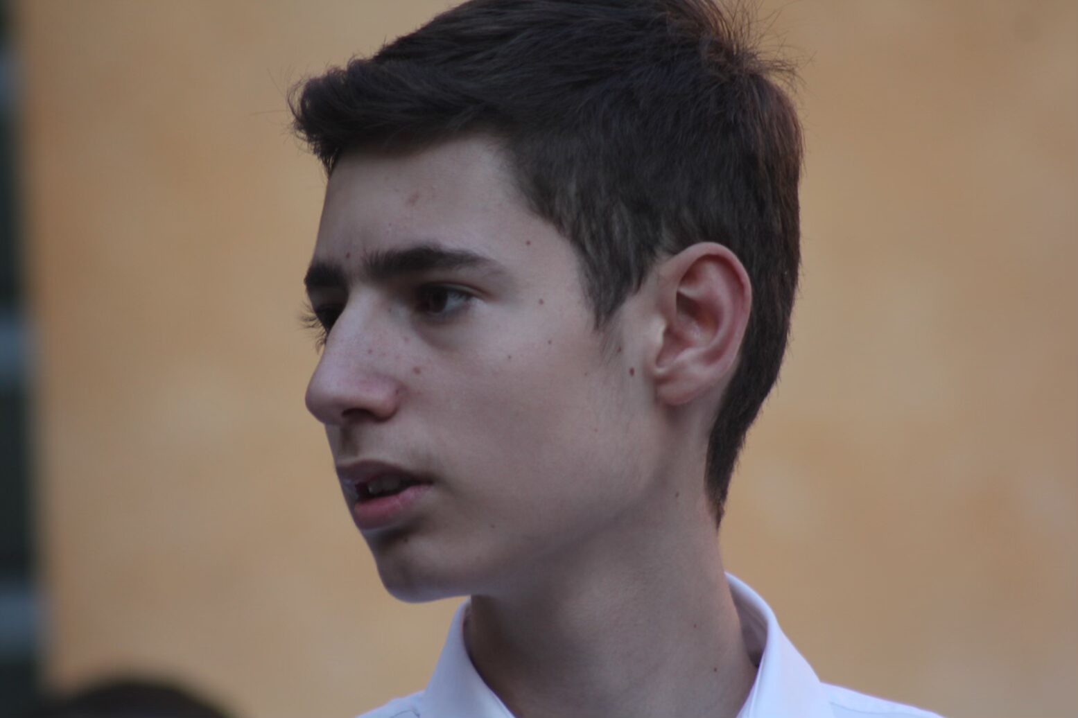 Volti